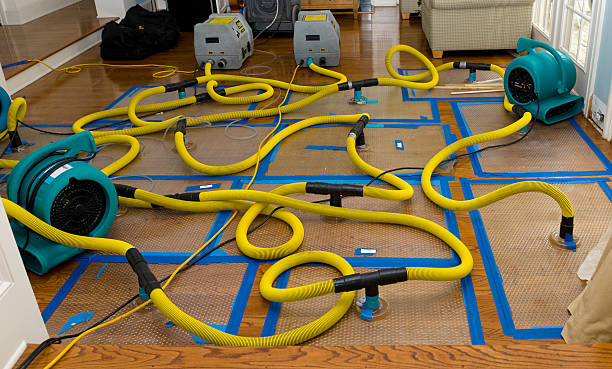 Professional Storm Water Damage Restoration technician working in Barnwell, SC